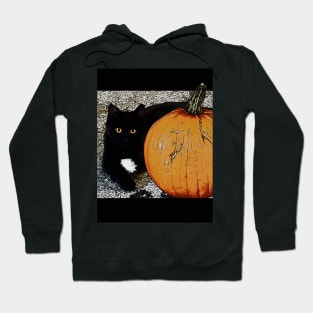 Little Pumpkin - Halloween Kitty Hoodie